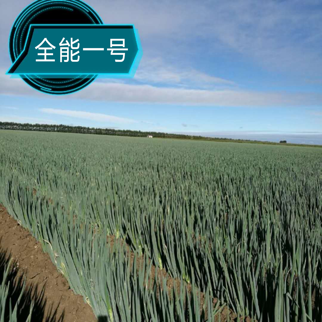 全能一号
